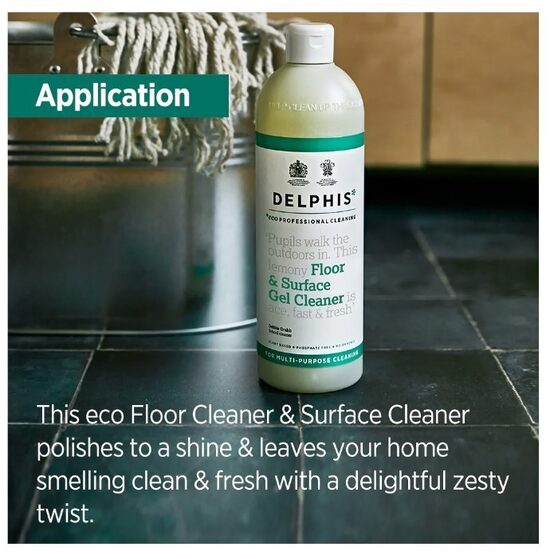 Delphis Eco Professional Gel Floor & Surface Cleaner